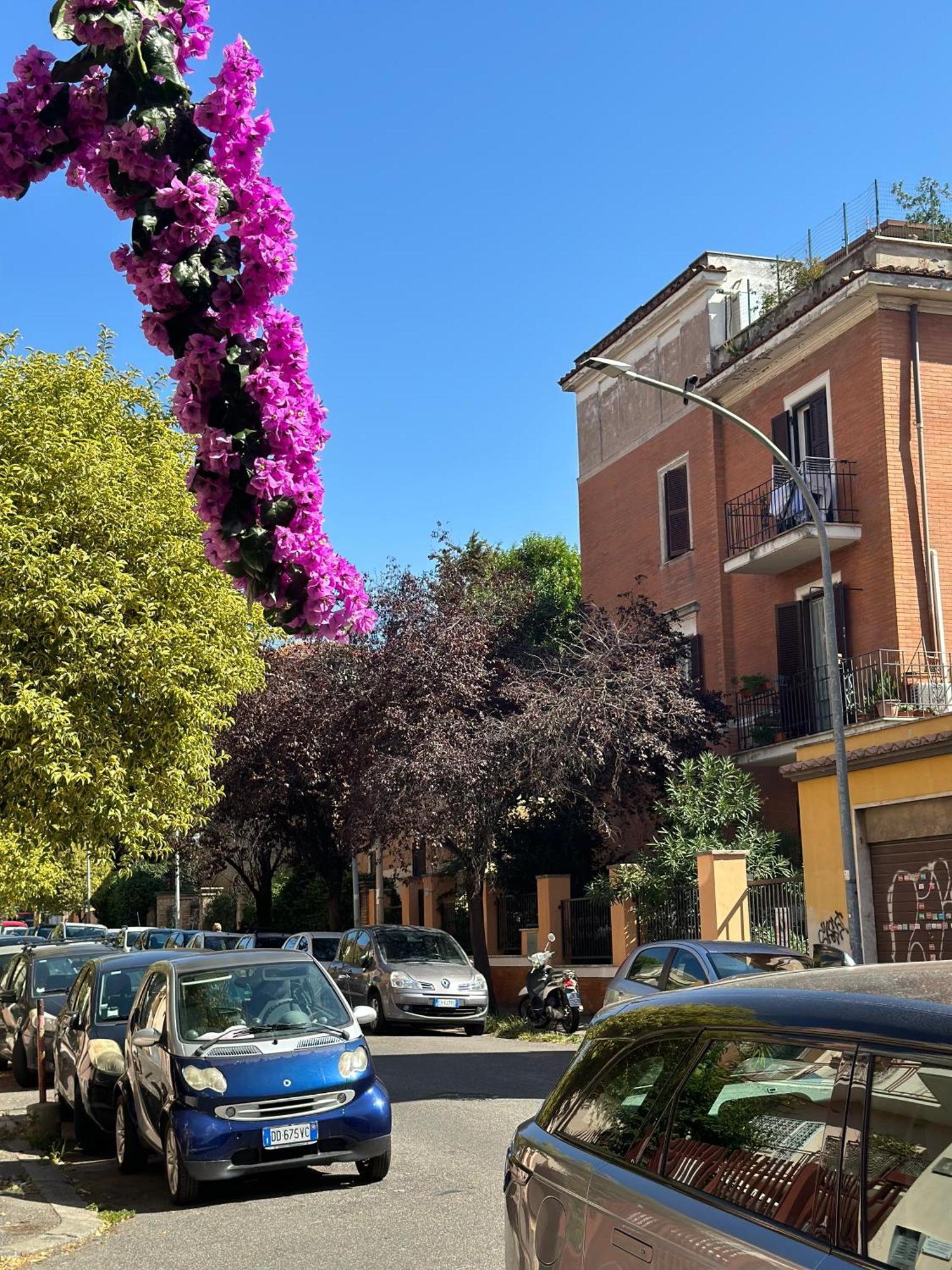 Trastevere Gianicolense Casa Con Giardino โรม ภายนอก รูปภาพ